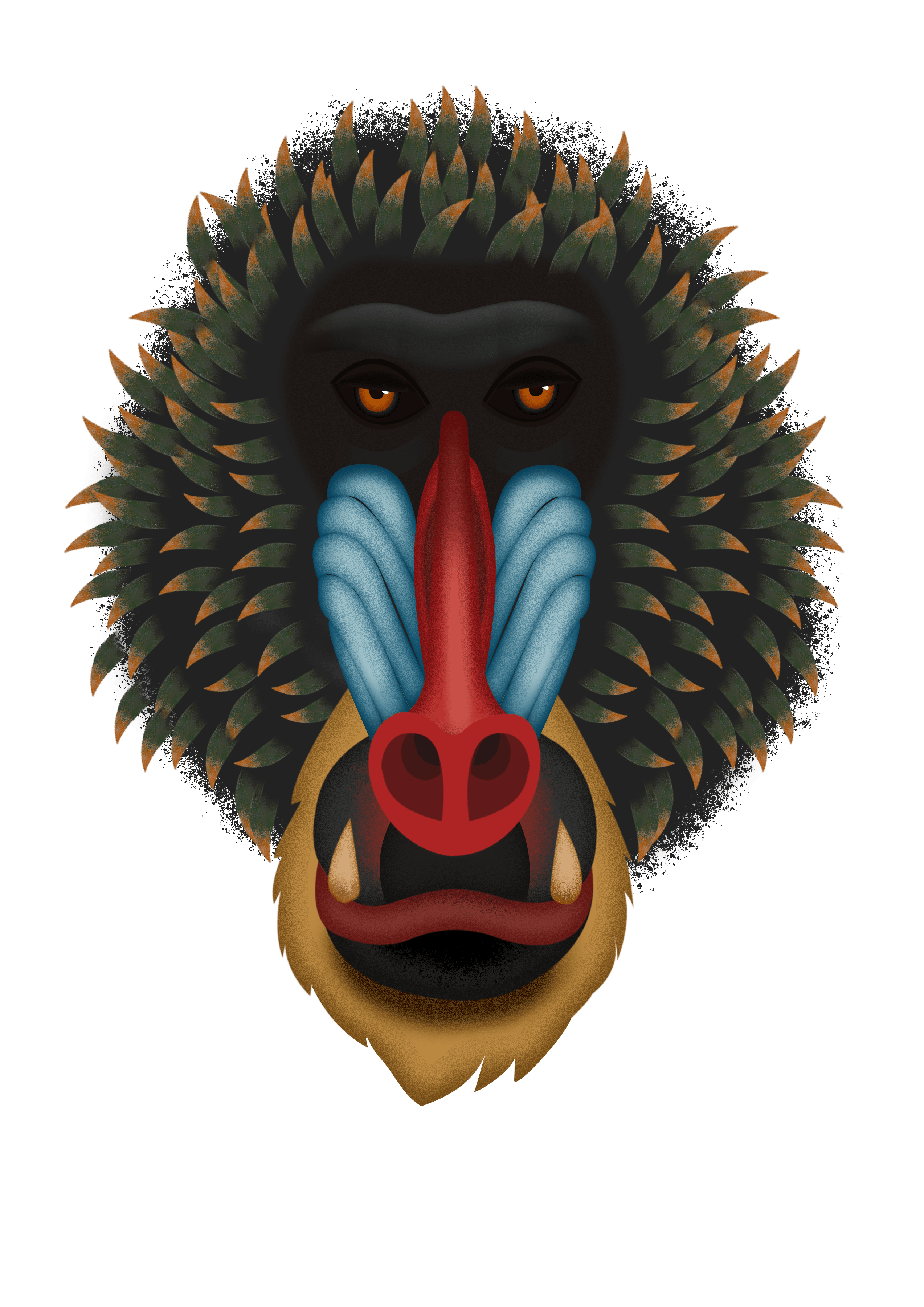 Baboon-min.png